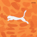 Côte d'Ivoire Home Soccer Jersey World Cup 2026 Orange