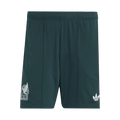 Mexico Away Soccer Shorts World Cup 2026 Green