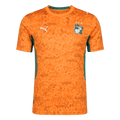 Côte d'Ivoire Home Soccer Jersey World Cup 2026 Orange