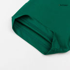 Palmeiras Home Soccer Jersey 2026 Green