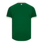 Ireland Home Soccer Jersey World Cup 2026 Green