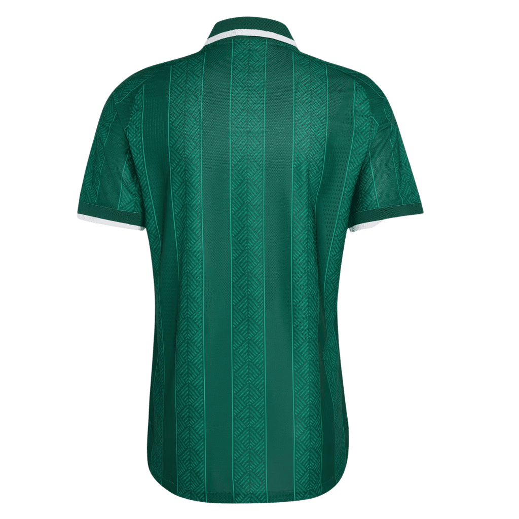 Player Version South Africa Away Soccer Jersey World Cup 2026 Green