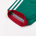 Player Version Algeria Away Soccer Jersey World Cup 2026 Green