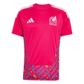 Mexico Goalkeeper Soccer Jersey World Cup 2026 Pink